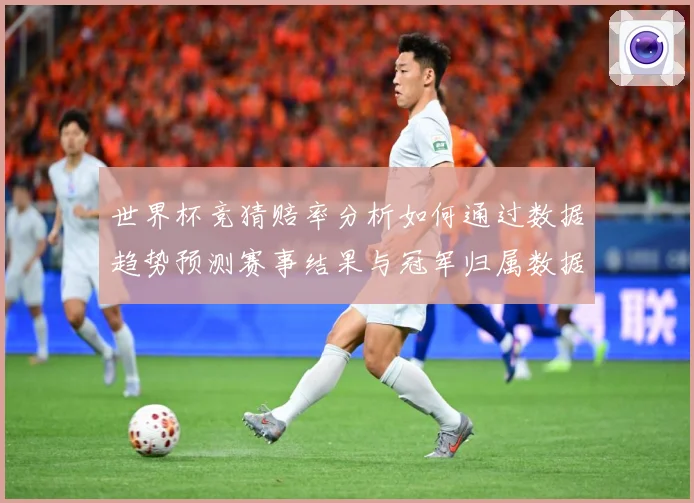 世界杯竞猜赔率分析如何通过数据趋势预测赛事结果与冠军归属数据研判-深度解析